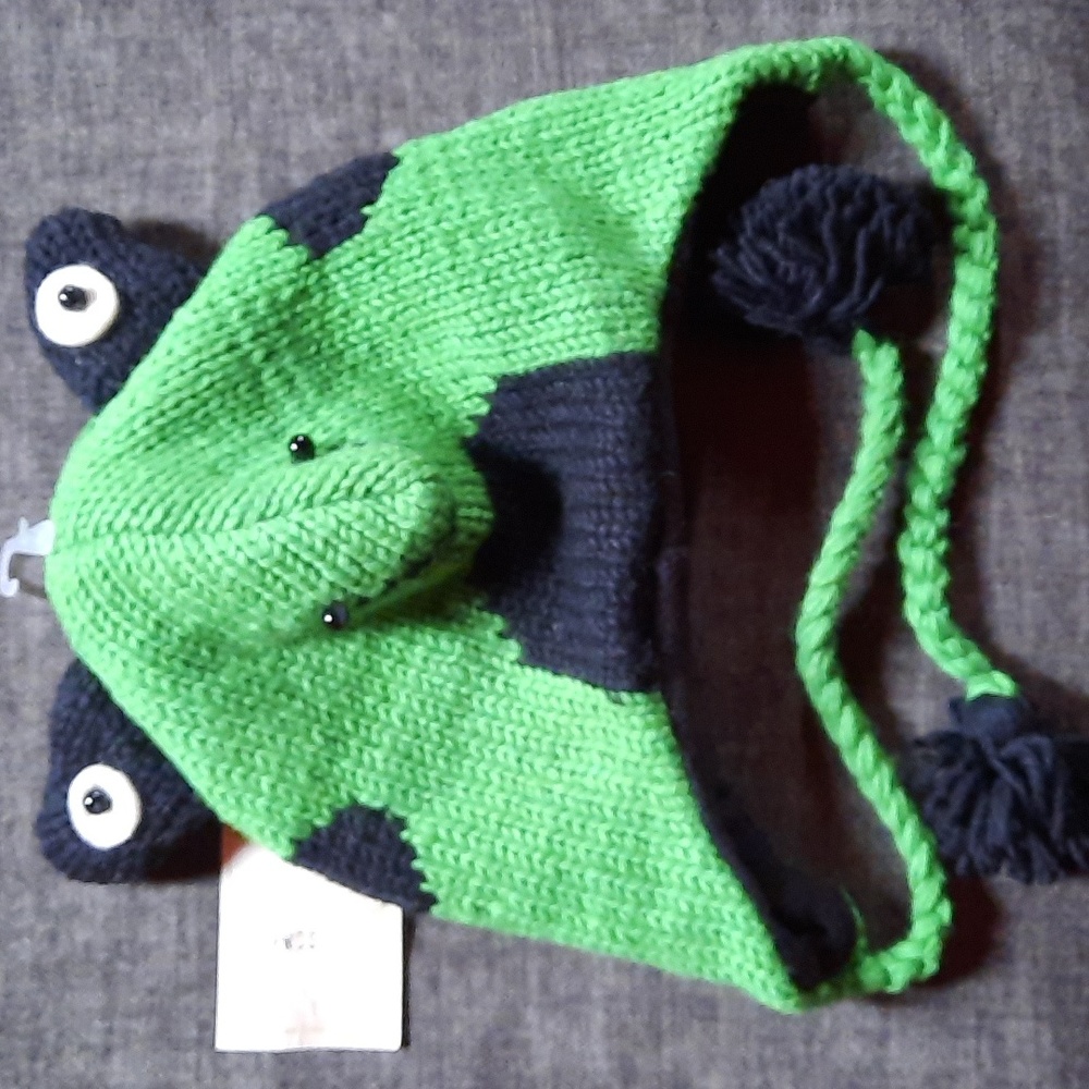 Frog Wool Knit Hat Ear Flap Braided Ties Youth Teen Tween Headwear Warm Winter